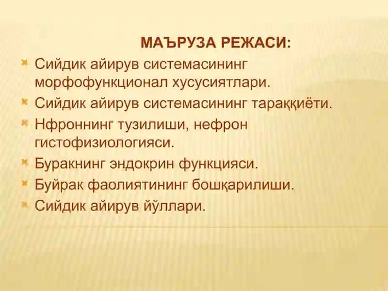 Сийдик Айирув Системаси 2