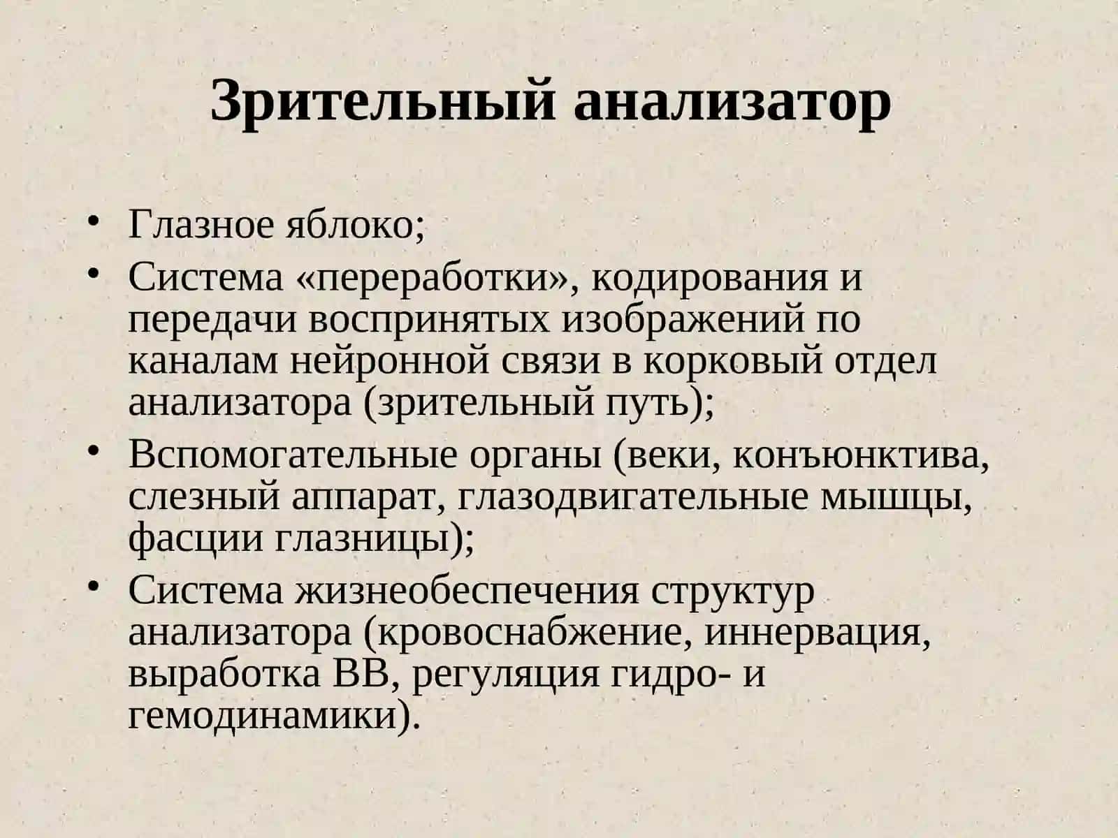 Клиническая анатомия органа зрения 2