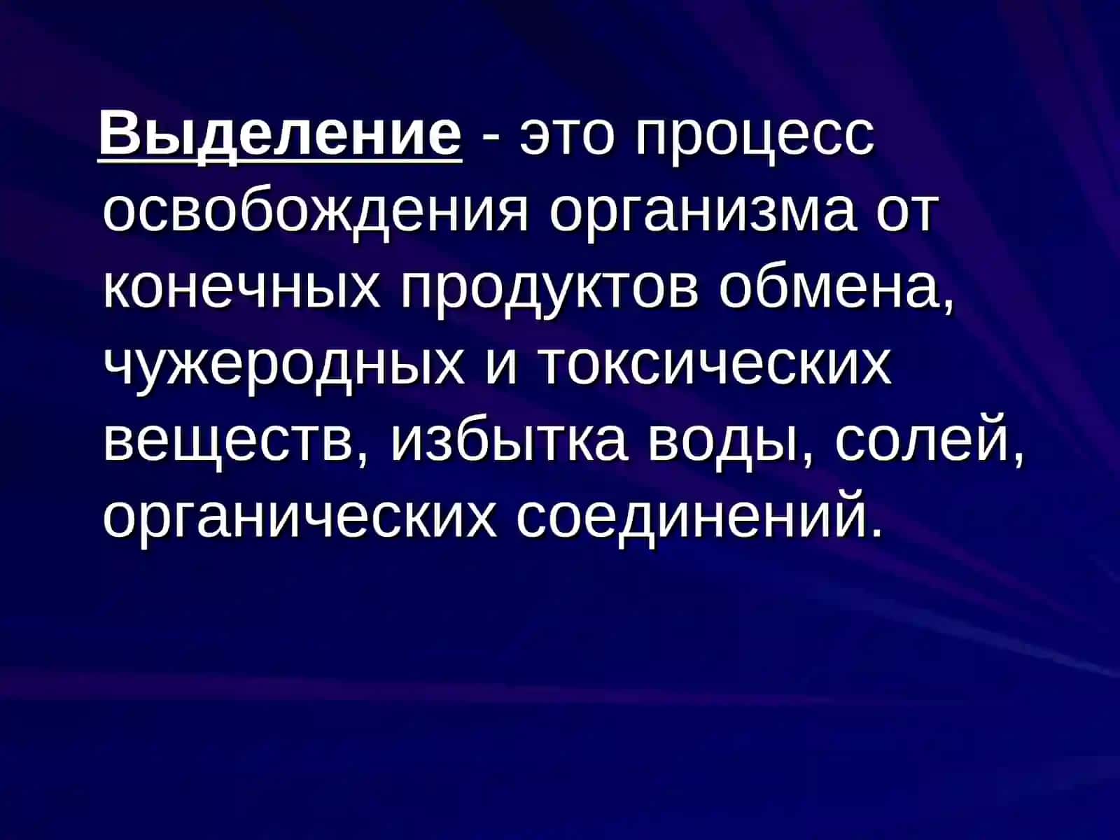 Экскреторная функция организма 2