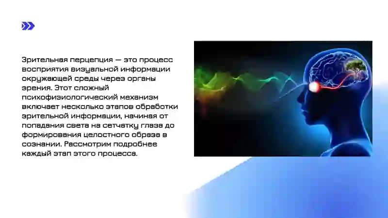 ЗРИТЕЛЬНАЯ ПЕРЦЕПЦИЯ 2