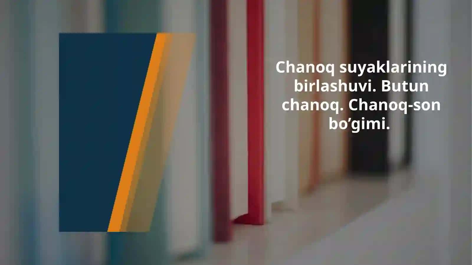 Chanoqsuyaklarining birlashuvi. Butunchanoq. Chanoq-son bo’gimi 2
