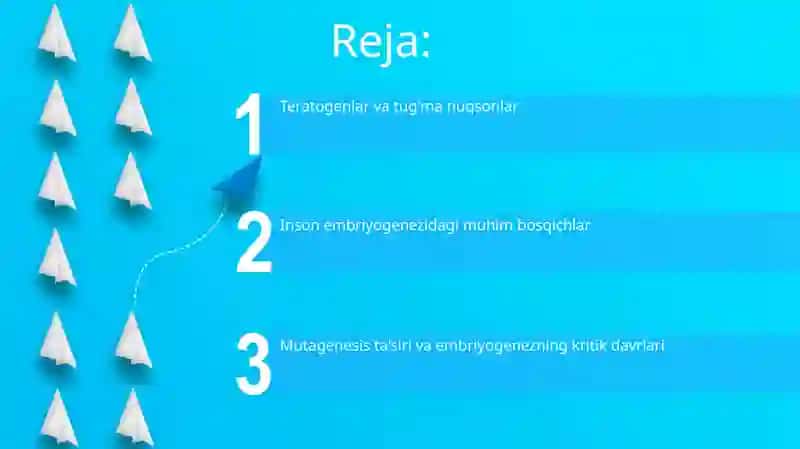 MUXIT OMILLARINING EMBRIOGENEZGA TA'SIRI.ODAMDA RIVOJLANISHNING QALTIS DAVRLARI 2