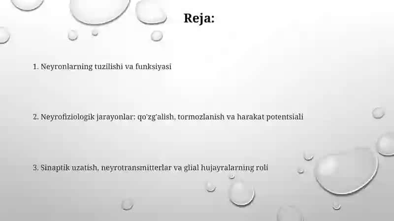 Neyronlar fiziologiyasi 2