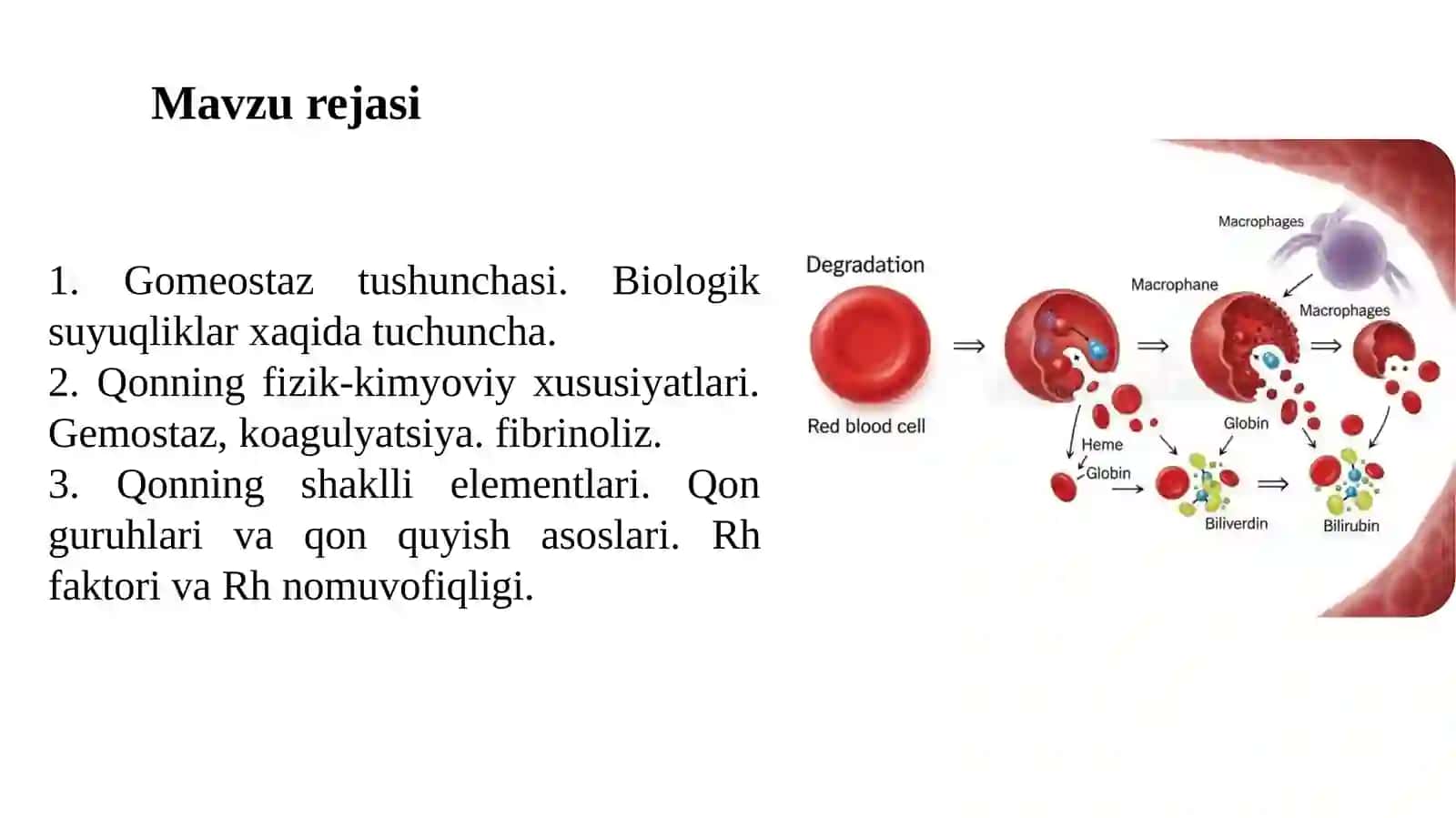 QON TIZIMINING FIZIOLOGIYASI 2