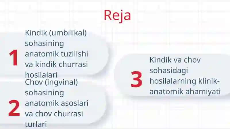 Anatomik bilimlar va jarrohlik amaliyotlari 2