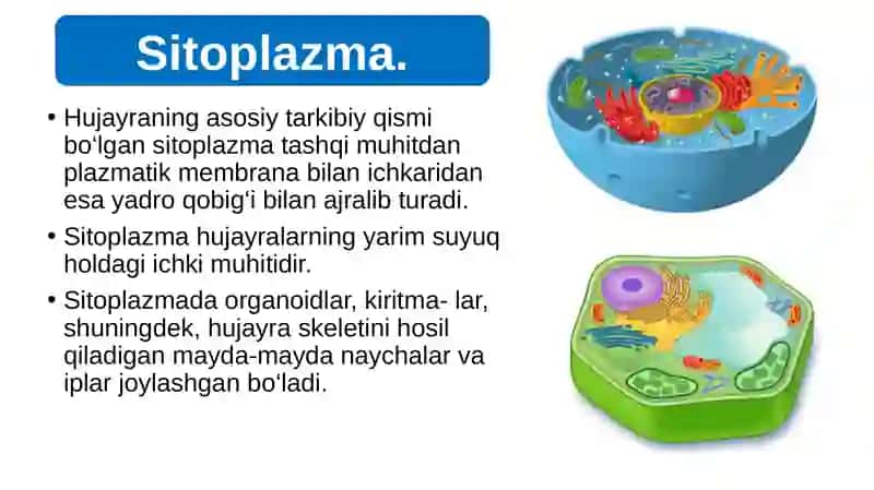Biologiya 9 sinf 2