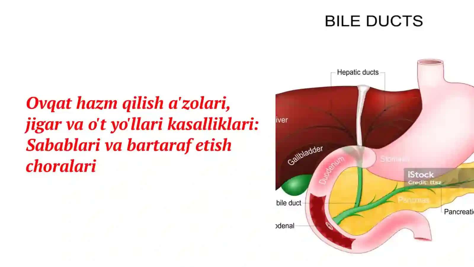 Tibbiyot kasbiga kirish 2