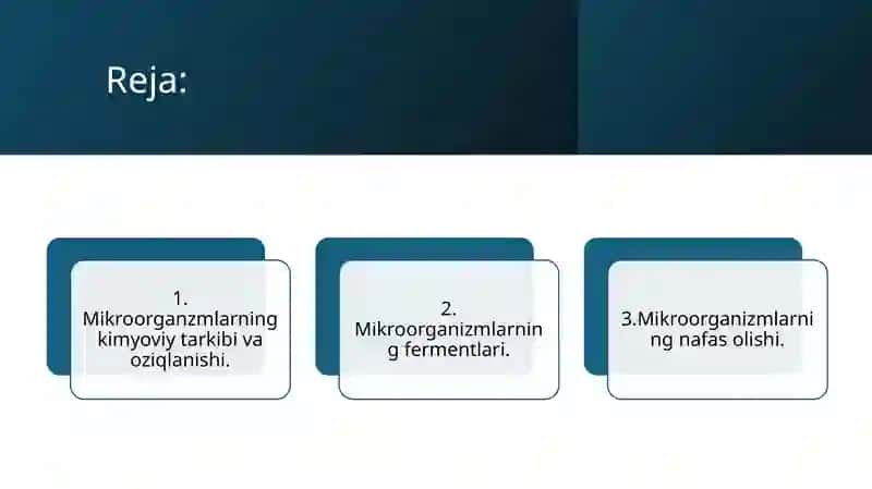Qo'qonuniversitetiAndijonFiliali 2
