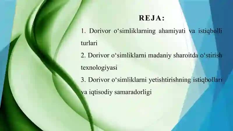 Istiqbolli dorivor oʻsimliklarni madaniy sharoitlarda oʻstirish 2