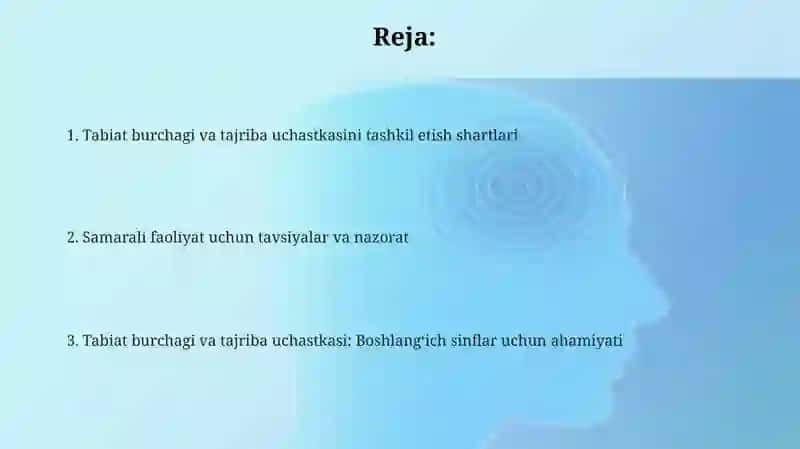 Tabiat burchagi va tajriba uchastkasi tashkili 2