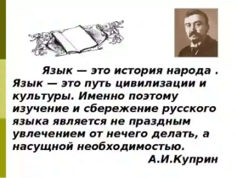 Речевые нарушения лексических норм в аспекте точности 2