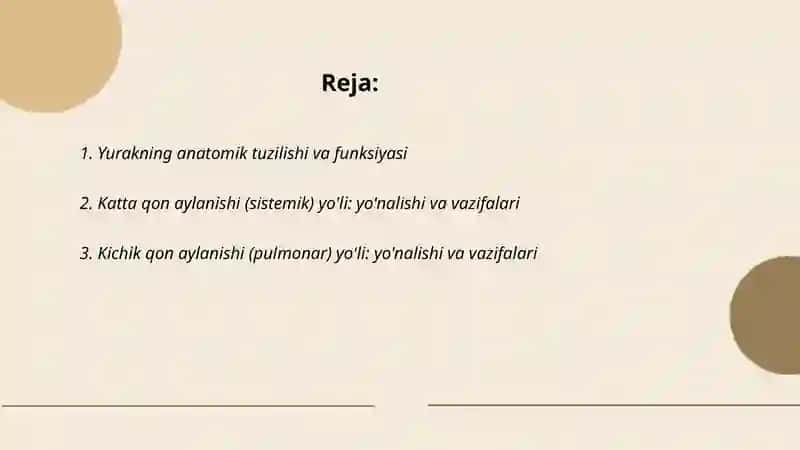 Yurak katta va kichik qon aylanish sistemasi aorta va uning shohlari 2