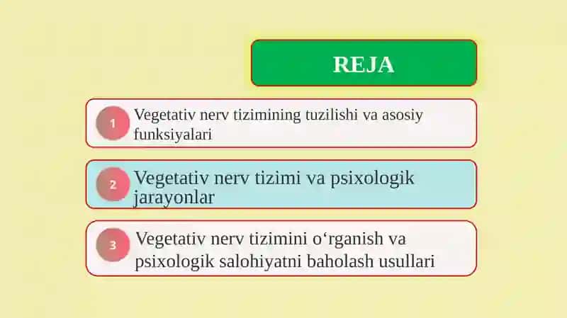Vegetativ nerv tizimining psixologik funksiyalardagi ahamyati 2