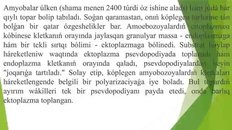 Bir kletkalıLar yáki apıwayı haywanlar kenje dunyası 2