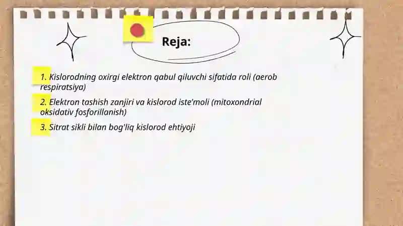 Biologik oksidlanish reaktsiyalarida kislorodning iste mol qilinish yo'llari 2