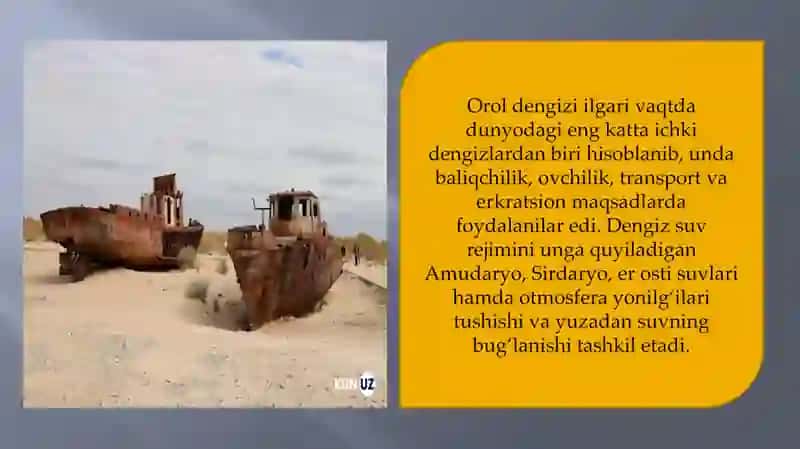 Orol dengizi va orolbo’yi hududining ekologik muammolari hamda ularning oldini olish 2