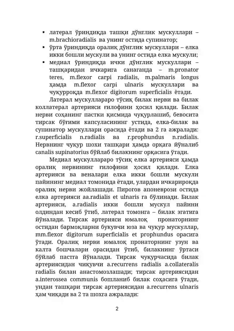 ҚЎЛНИНГ ТОПОГРАФИК АНАТОМИЯСИ 2