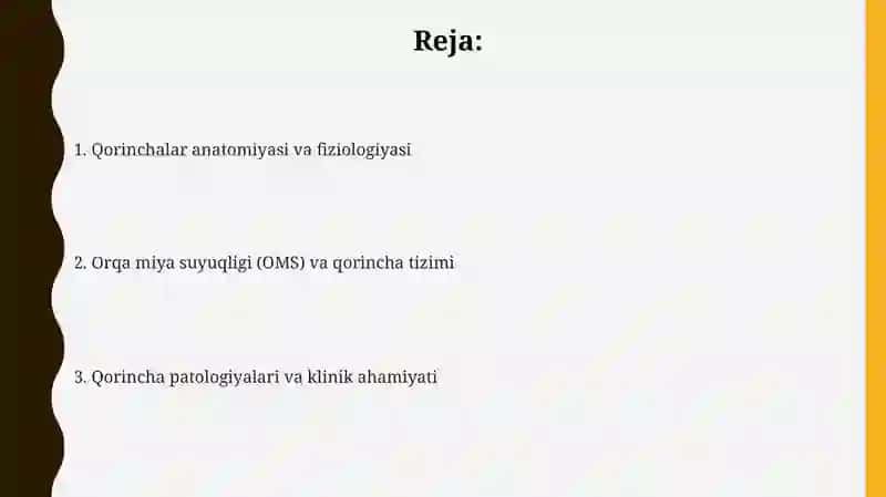 Qorinchalar anatomiyasi va ularning funksiyasional ahamiyati 2