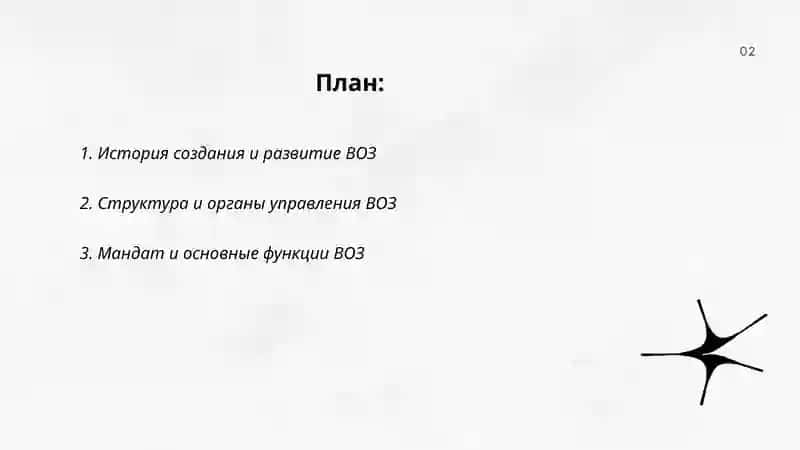 Всемирная Организация Здравоохранения 2