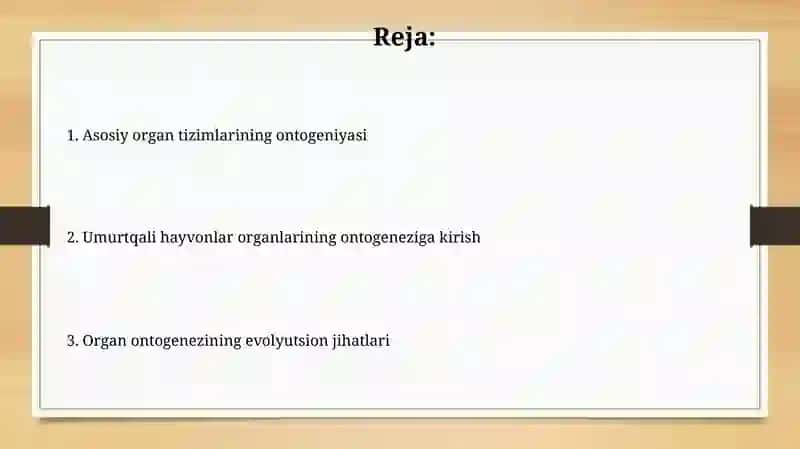 Umurtqalilarda organlar va uning ontofillogenizi 2