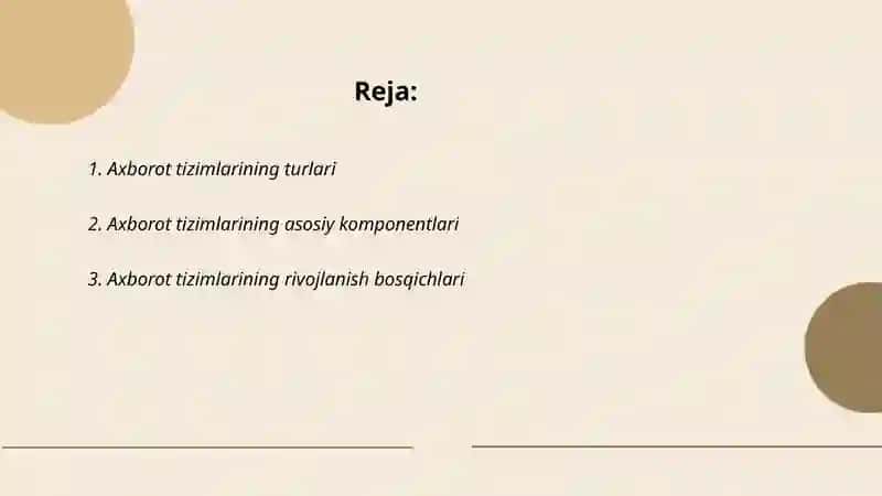 Axborot tizimlari va turlari 2