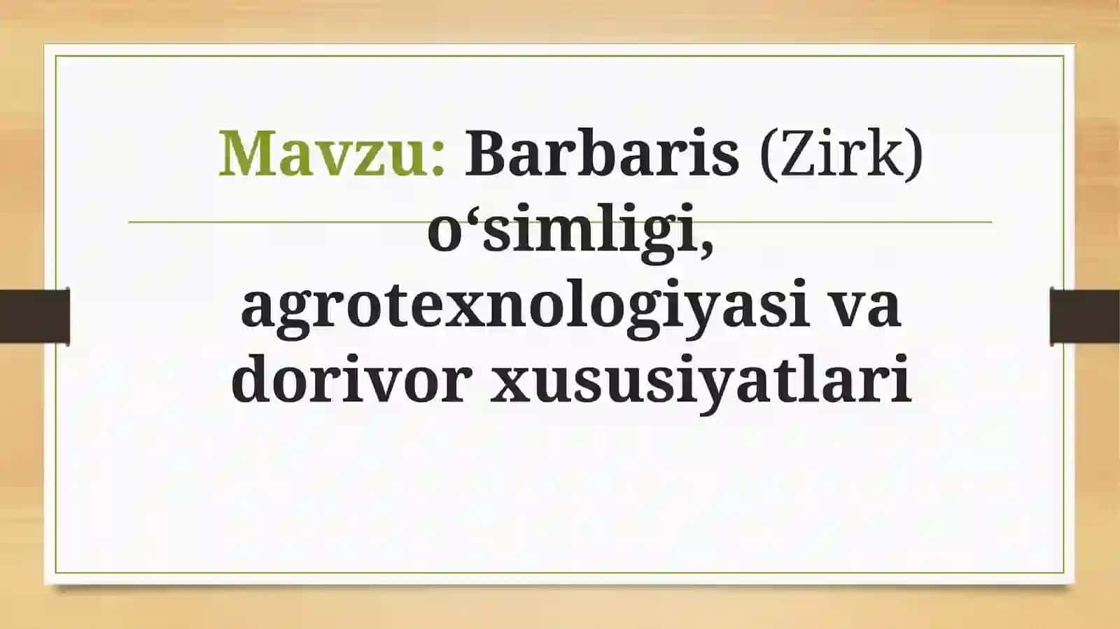 Barbaris(Zirk)oʻsimligi,agrotexnologiyasivadorivorxususiyatlari 2