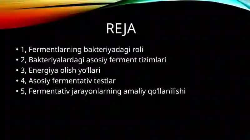 Bakteriyalarda fermentativ jarayonlar 2