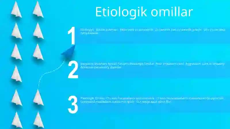 Jinoyatchi Shaxsini Ajratib Turuvchi Psixologik Omillar 2