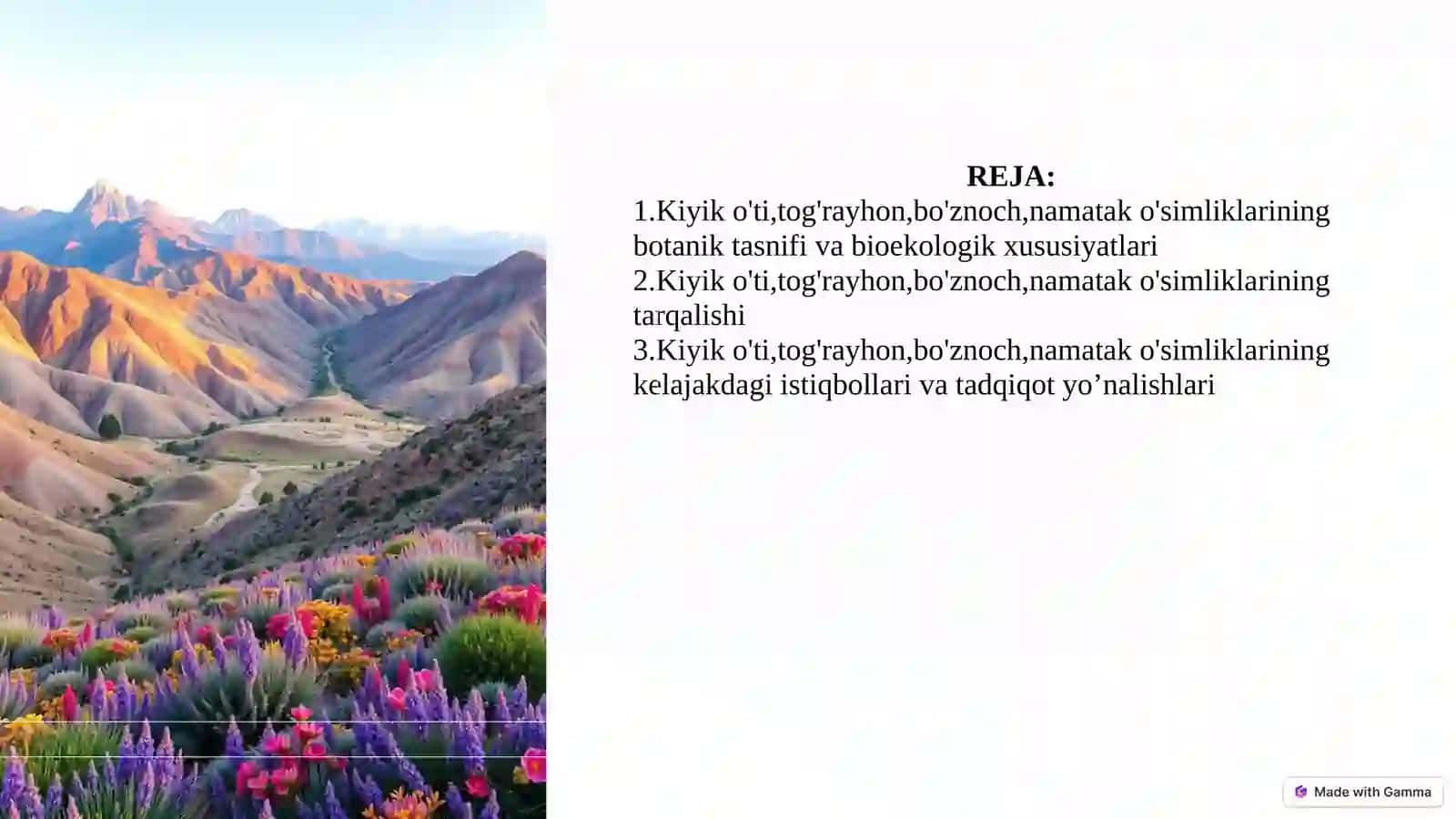 Kiyik O'ti: Cho'l va Tog' Etaklarining Shifobaxsh Giyohi 2