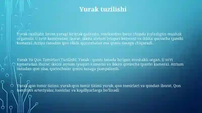 Yurak Va Qon Tomirlari Tuzilishi 2