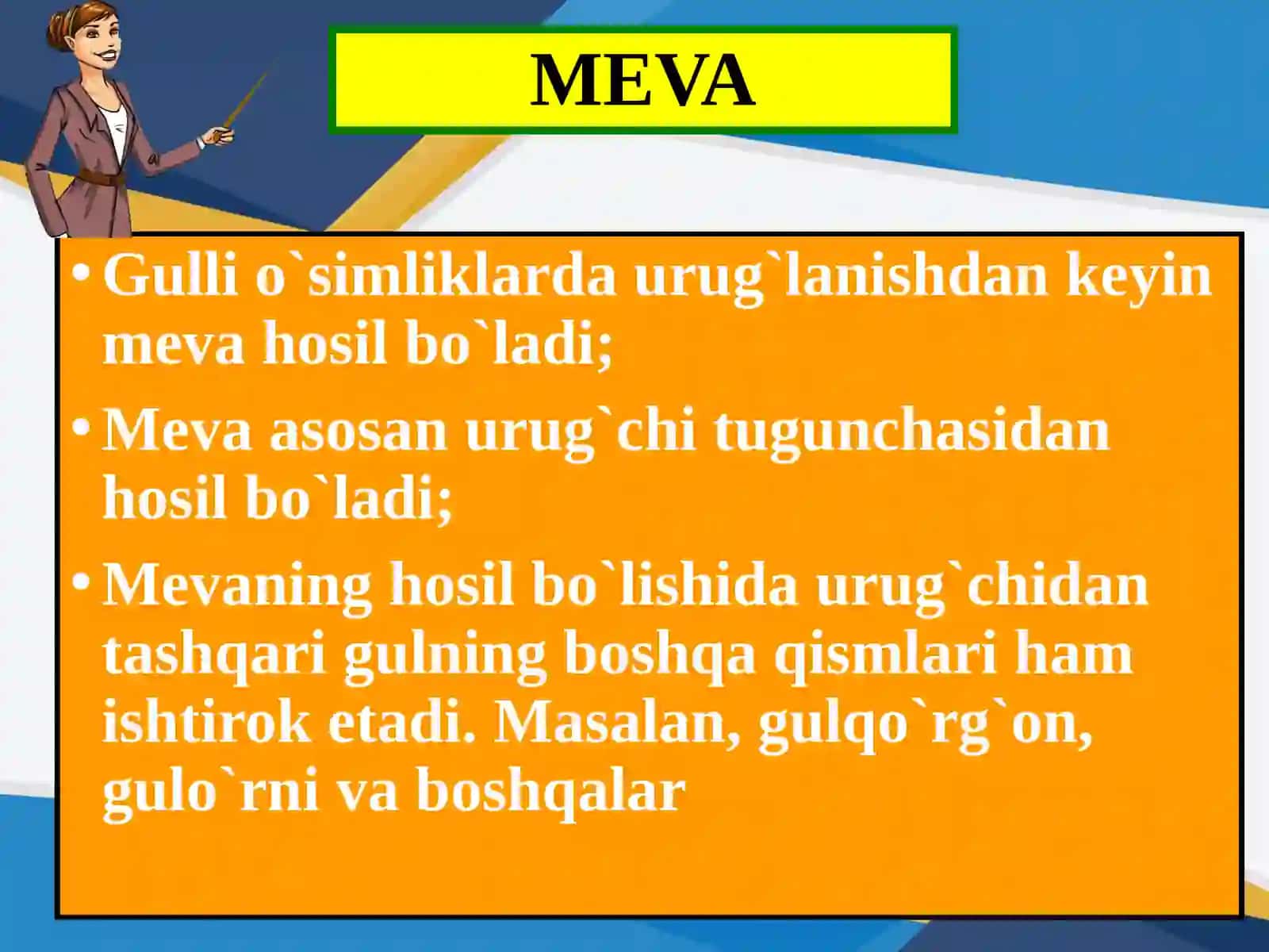MEVA.MEVALARNING TABIATDAGI VA INSON HAYOTIDAGI AHAMIYATI 2