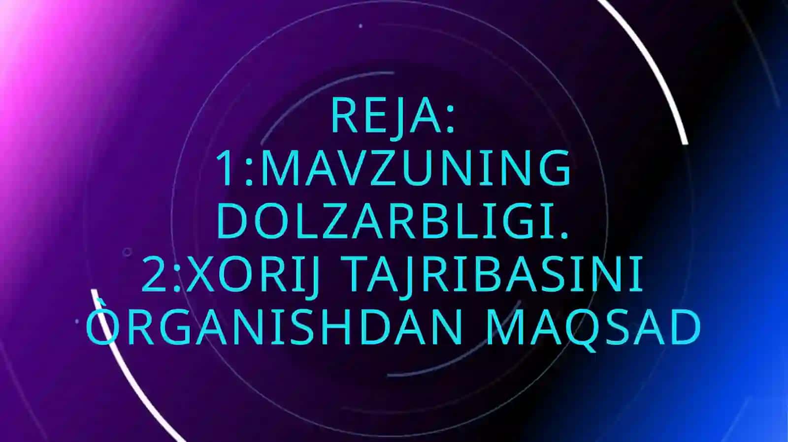 Bisnes tashkilotishning xorij tajribasi 2