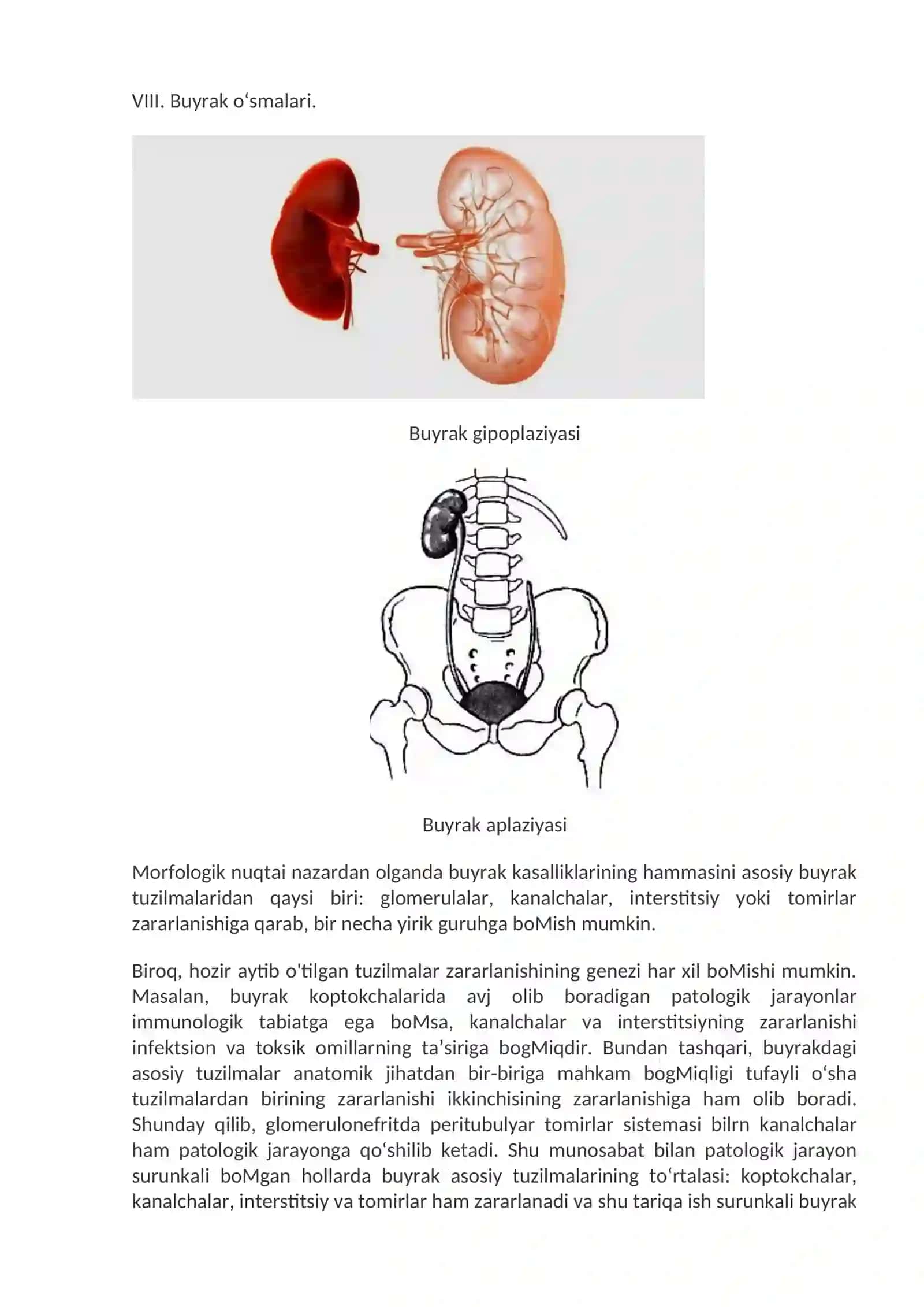 Buyrak kasalliklari. Rivojlanish anomaliyalari. Glomerulopatiyalar 2