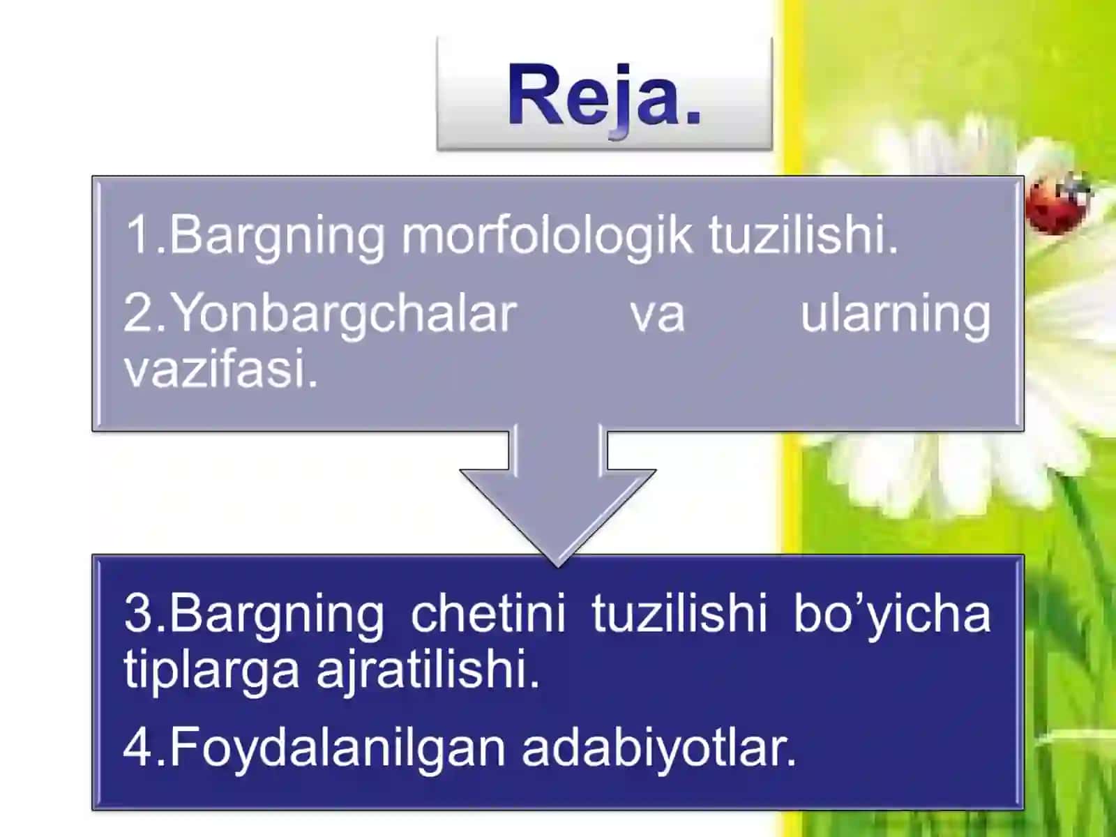 O’simliklar anatomiyasi va fiziologiyasi 2