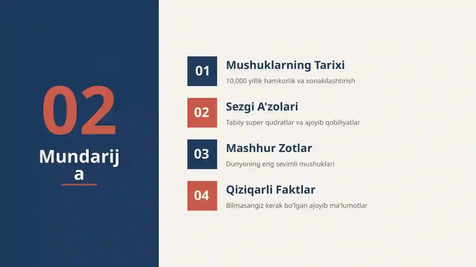 Mushuklar dunyosi 2