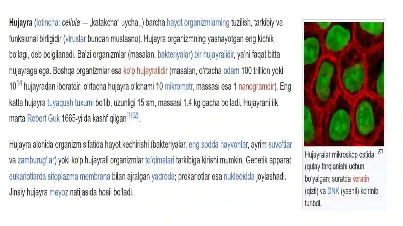 Kop Tarmoqli Tibbiyot Texnikumi Hamshiralik ishi 114-guruhtalabasi 2