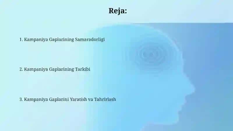 Kampaniya Gaplarining Samaradorligi 2