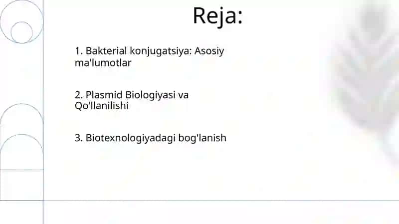 Konyugasiya. Plazmidlar. Biotexnologiya haqida tushuncha 2
