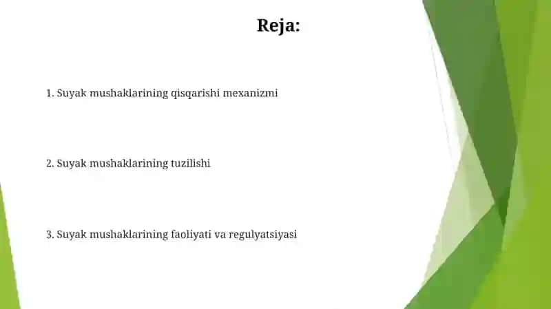 Silliq mushaklarning fiziologiyasi 2