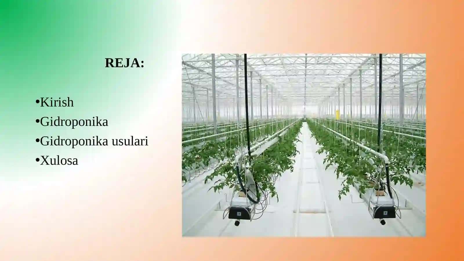 DORIVOR O'SIMLIKLARNI YETISHTIRISHDA GIDROPONIKA USULI 2