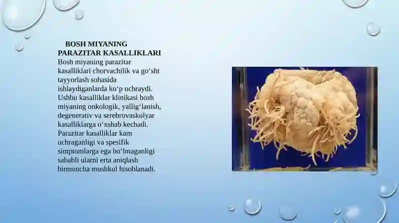 Boshmiyaning parazitar kasalliklari 2
