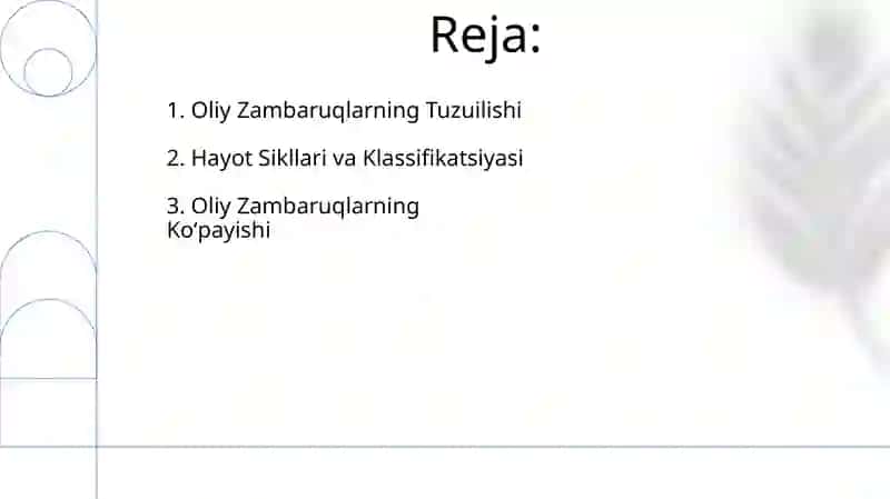 Yuksak zamburugʻlarning tuzilishi va koʻpayishi 2