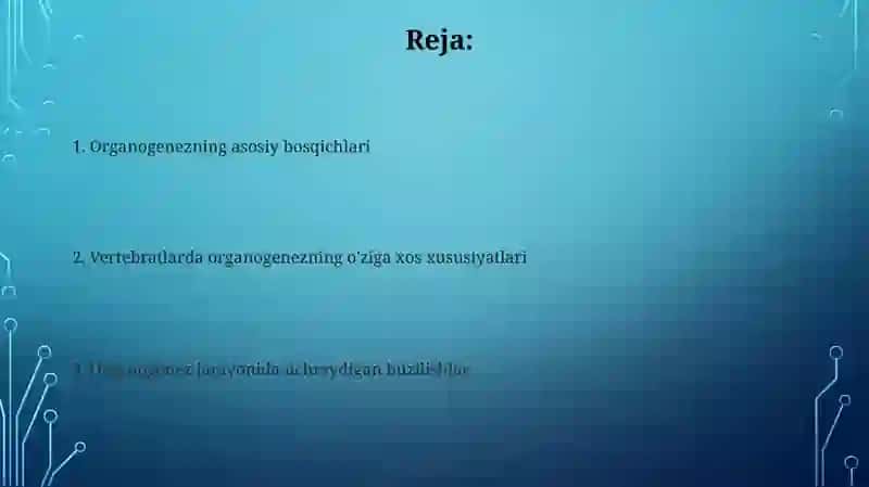 Umurtqali hayvonlarda organogenezning bosqichlari 2