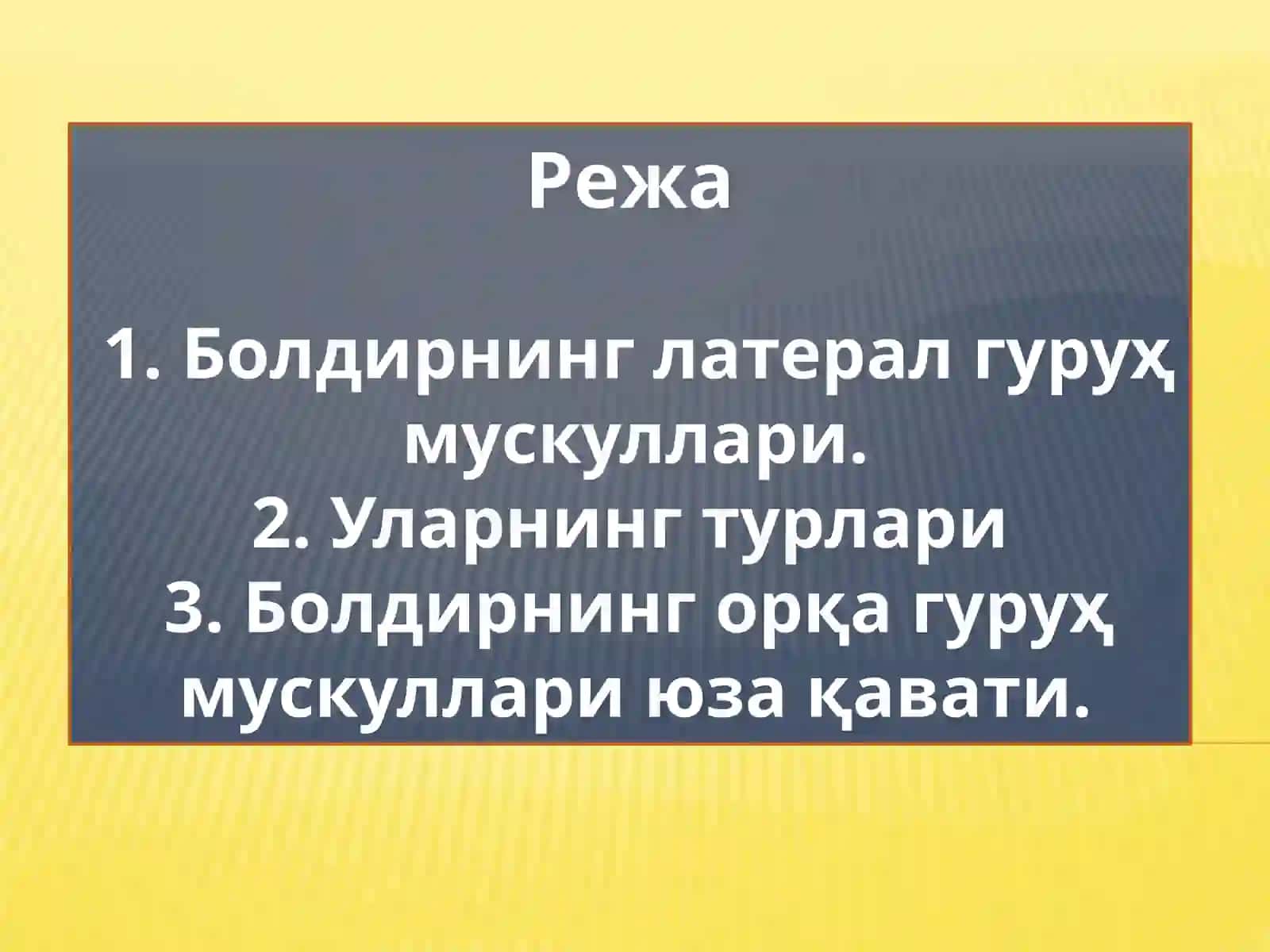 Болдирнинг латерал ғуруҳ мускуллари 2