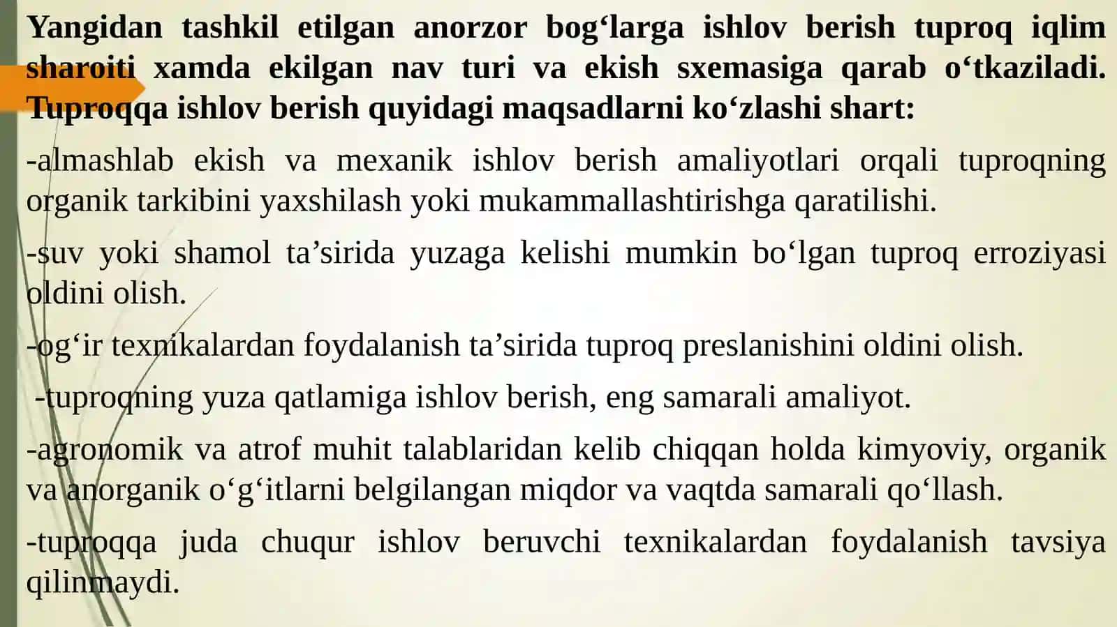 Yosh anorzorlarga ishlov berish 2