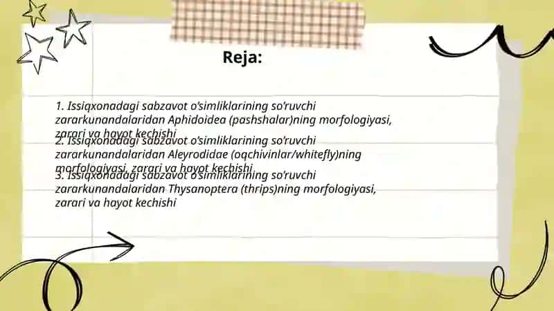 Issiqxonadagi sabzavot o’simliklarining so’ruvchi zararkunandalarining mafologiyasi, zarari va hayot kechrishi 2