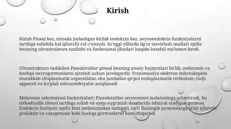 Epifizning Ultrastrukturaviy Tashkil Etilishi Va Funktsiyalari 2