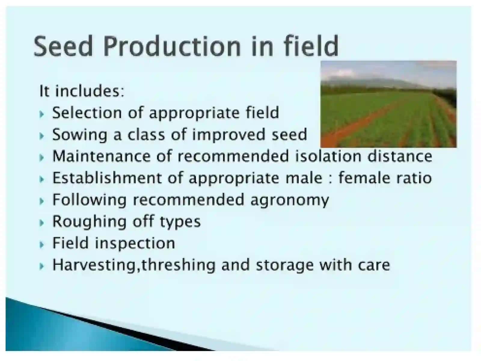 Wheat Targets - 2030 AD 2