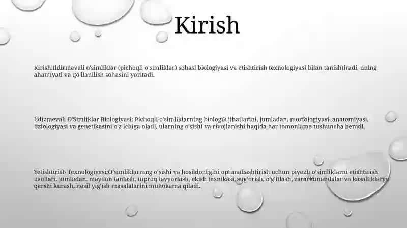Ildizmevali O'Simliklar Biologiyasi Va Yetishtirish Texnologiyasi 2