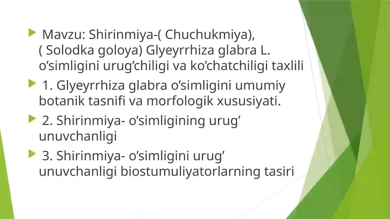Shirinmiya-(Chuchukmiya), (Solodkagoloya)GlyeyrrhizaglabraL.o’simliginiurug’chiligivako’chatchiligitaxlili 2